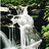 Profile Picture of ryanadrian@yourphoto.info (@ryanadrian@yourphoto.info) on Flickr