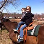 Profile Picture of Debbie Fout (@grandbabys2) on Instagram