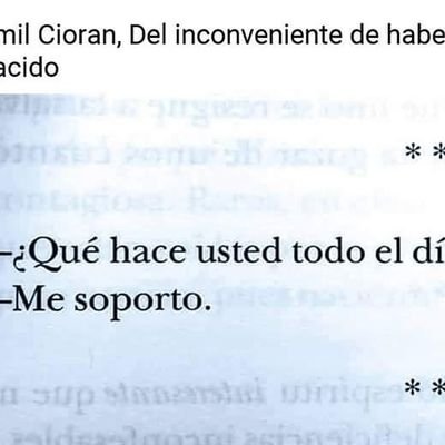 Profile Picture of Alejo Gomez (@JoseJim22456646) on Twitter