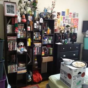 Profile Picture of Kenneth Leland (@kenneth_leland) on Twitter