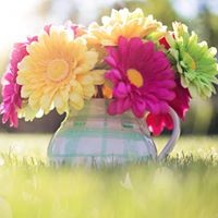 Profile Picture of Cheryl Ralph (@cheryl-ralph-2) on Quora