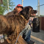 Profile Picture of Kenneth Schneiter (@Kenneth-Schneiter) on Facebook