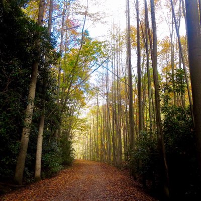 Profile Picture of Kathleen Engle (@KathleenEngle6) on Twitter