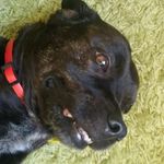 Profile Picture of Janet Ruck (@janet.ruck) on Instagram