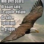 Mario Danese - Instagram Profile Picture of Mario Danese (@mario.danese) on Instagram