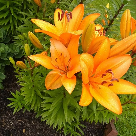 Profile Picture of Kelyn Butts (@kelynb) on Poshmark