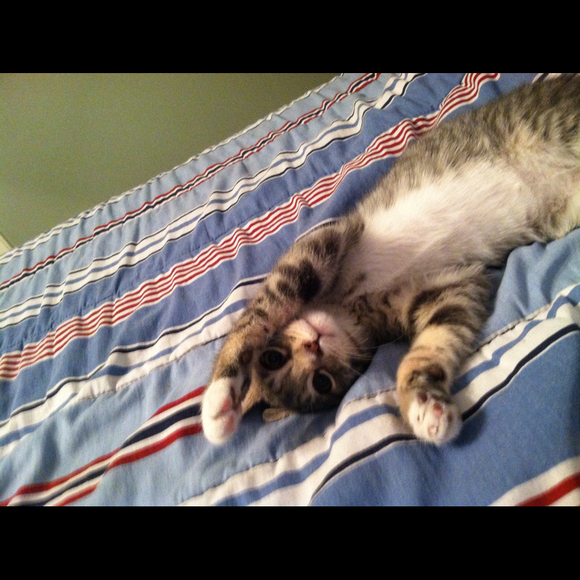 Profile Picture of Christa Candies (@ccandies12) on Poshmark