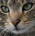 Profile Picture of Mary Allegro (@mary.allegro.184) on Facebook