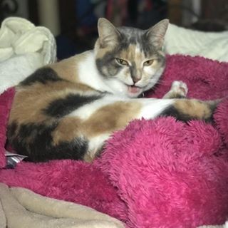 Profile Picture of Aleksander Degen (@AlekTheAmazin) on Facebook