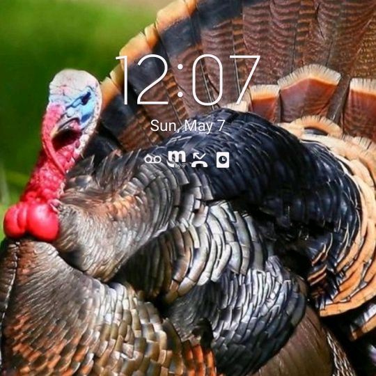 Profile Picture of Robertburchett (@burchettrjames) on Tiktok