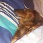 Profile Picture of Zachary Boyles (@zachary_zeeky_boyles) on Instagram