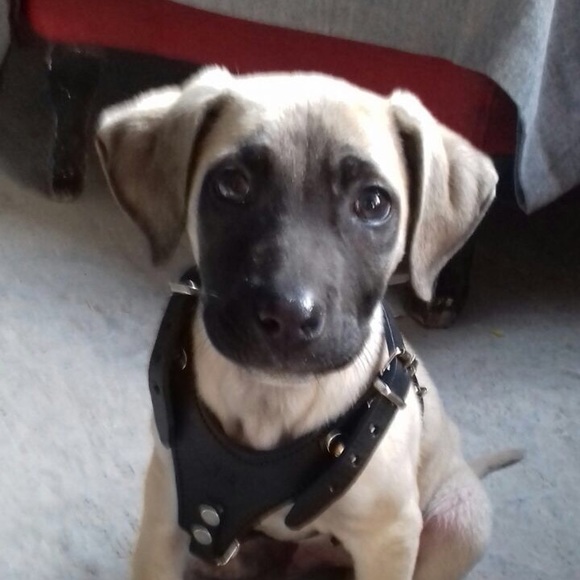 Pablo Antonio - Poshmark Profile Picture of Pablo Antonio (@rugar2) on Poshmark