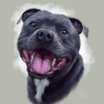 Profile Picture of R O N A L D (Ronnie, Ron) ♂️ (@bluestaff_ronald) on Instagram