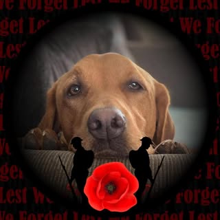 Profile Picture of Keith David (@keith_mcmurtry) on Instagram