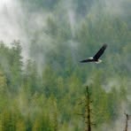 Profile Picture of Hiranmai Reddy (@Hiranmai-Reddy) on Facebook