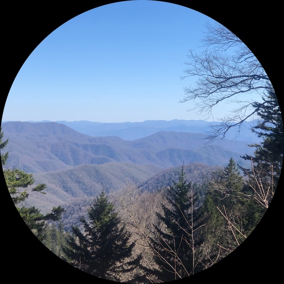 Profile Picture of Lucy Aaron (@lucyaaron) on Poshmark