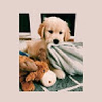 Profile Picture of Maya Mccoy (@maya-mccoy-16) on Quora