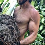 Profile Picture of David Jesse Daniel (@davidjessedaniel) on Instagram