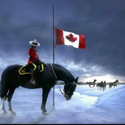 Profile Picture of Pat Reardon (@Patreardon10) on Twitter