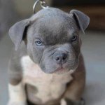 Profile Picture of Janet Cotto (@janmapa) on Instagram