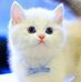 Profile Picture of Shirley Zhang (Shirley Zhang) (@shirley.zhang.9026) on Facebook