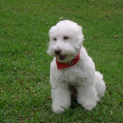 Profile Picture of Edward Lin 阿良 🏳️‍🌈 (@EdwardLIN0923) on Twitter