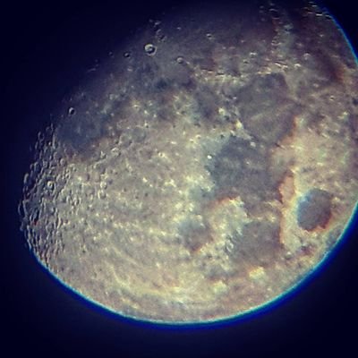 Profile Picture of Mitch Burrows (@mitch_burrows) on Twitter