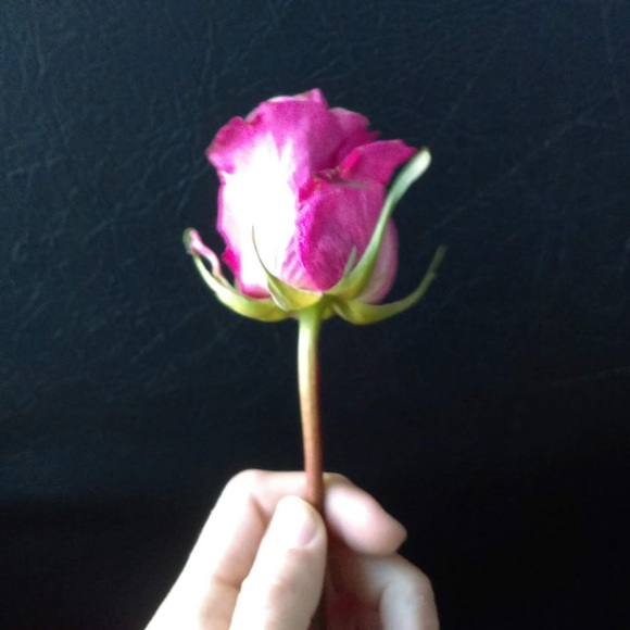 Profile Picture of Fae like The faeries (@faefaeries) on Poshmark