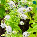 Profile Picture of Travis davis (@travisdavis6773) on Instagram