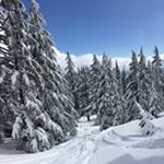 Profile Picture of Lisa Oberg (@lisahoberg) on Instagram