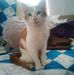 Profile Picture of Marie Dupre (@marie.dupre.3114) on Facebook