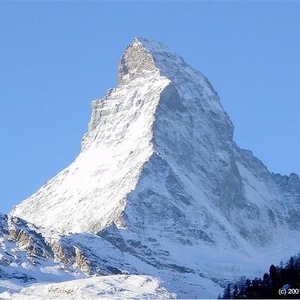 Profile Picture of Damien Bielli (@430079086) on Myspace