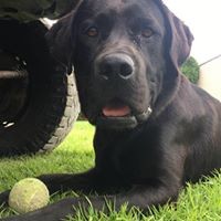 Profile Picture of Luke Clements (@luke-clements-7) on Quora