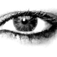 Profile Picture of Josette Buss (@332331008) on Myspace