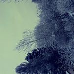 Profile Picture of andrea.østerås (@andrea_osteraas) on Instagram
