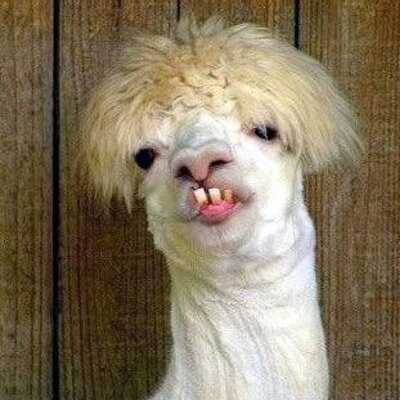 Profile Picture of Dan Zoll (@DanZ_Apocalypse) on Twitter