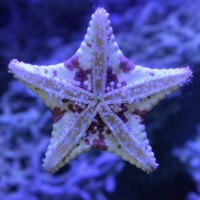 Profile Picture of Alex Spilove (@alex-spilove) on Quora
