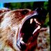 Profile Picture of Brad Bachman (@Brad-Bachman) on Facebook