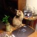 Profile Picture of Rose Bradt (@rose.bradt) on Facebook