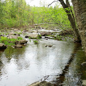 Profile Picture of Michel Coulombe (@michelcoulombe120) on Youtube