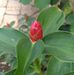 Profile Picture of Robert Kaling (@robert.kaling.1) on Facebook