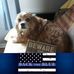 Profile Picture of Kathy Minniefield (@kathy.minniefield) on Facebook