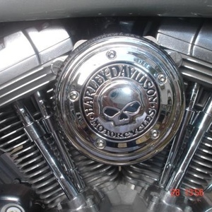 Profile Picture of Alan Siddens (@230323868) on Myspace