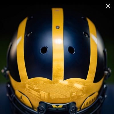 Profile Picture of Tom Spangler (@WolverineGuy76) on Twitter