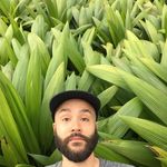 Profile Picture of trom (@trom) on Instagram