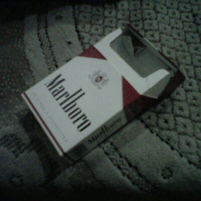 Profile Picture of Folk_ernest (@Sandroordnas1) on Twitter