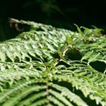 Profile Picture of Blake Bryant (@blakebryanttt) on Instagram