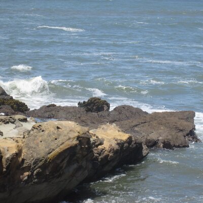 Profile Picture of Dusty Rodriguez (@Caliguurrl) on Twitter