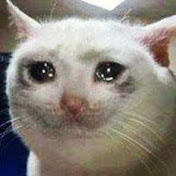 Profile Picture of Bianca Wells (@biancawells9581) on Youtube