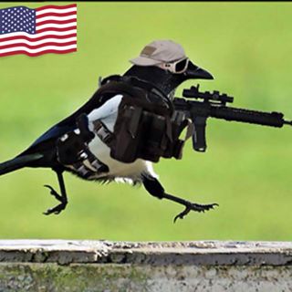 Profile Picture of Darrin Emmons (@Darrin-Emmons) on Facebook